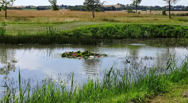 Holiday home in Mommark Strand