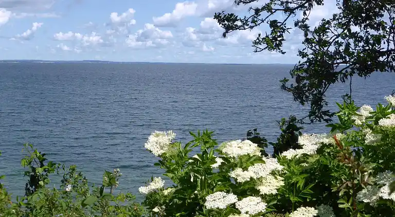 Holiday home in Mommark Strand