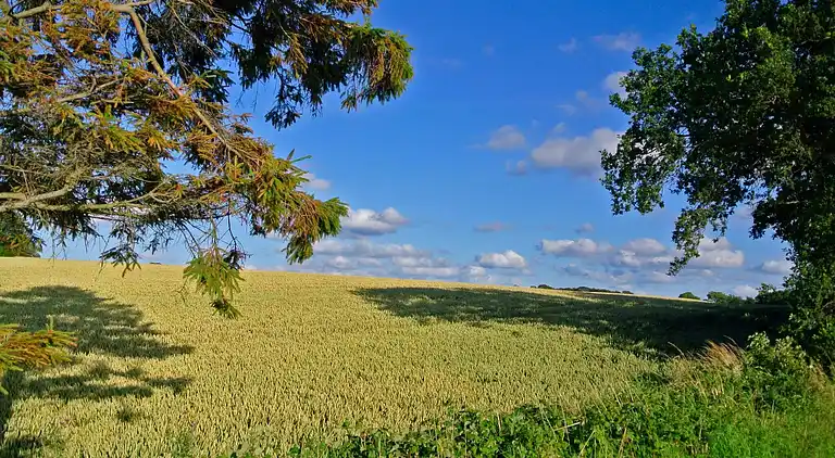 Casa vacanze in Hejlsminde Strand