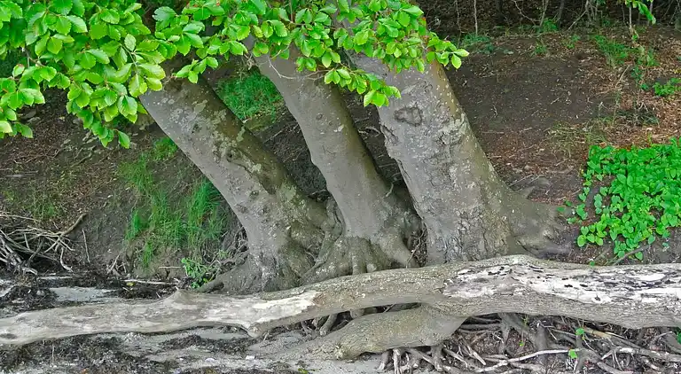 Semesterbostad vid Hejlsminde Strand