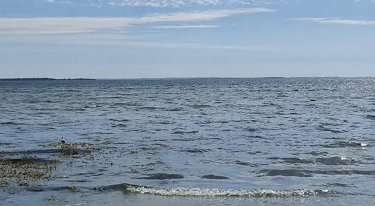 Semesterbostad vid Hejlsminde Strand