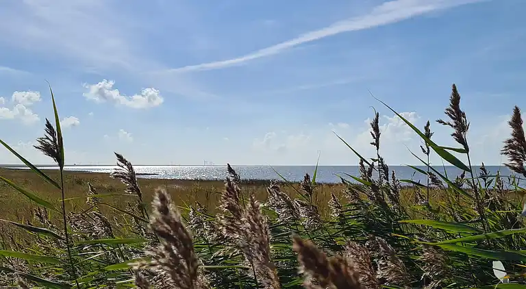 Semesterbostad i Højer