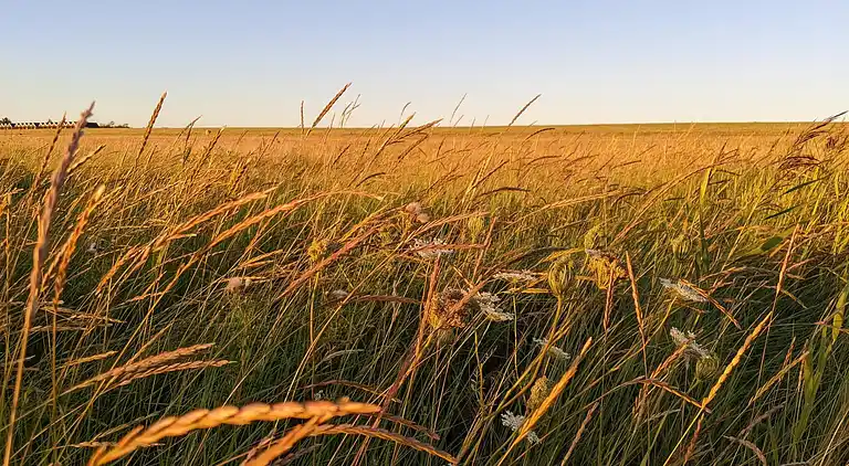 Semesterbostad i Højer