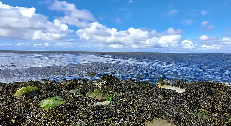 Semesterbostad i Højer