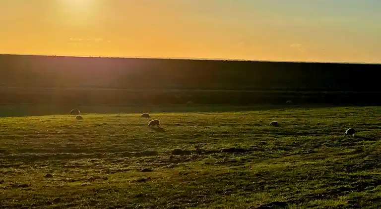 Semesterbostad i Højer