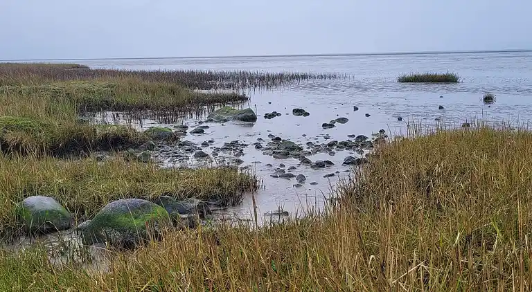 Semesterbostad i Højer