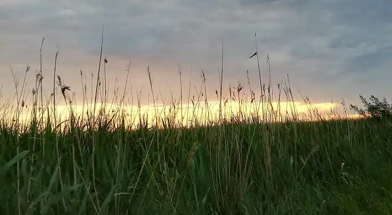 Semesterbostad i Højer