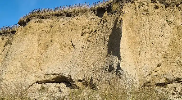 Semesterbostad i Højer