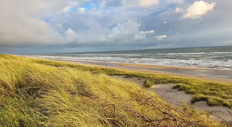 Sommerhus ved Bjerregård Strand