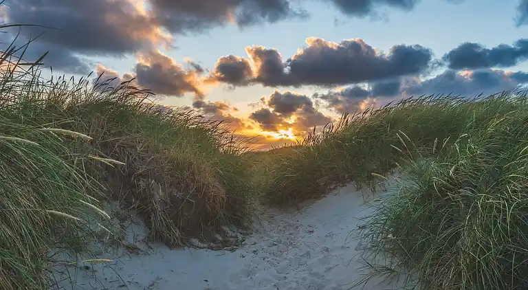Sommerhus ved Bjerregård Strand