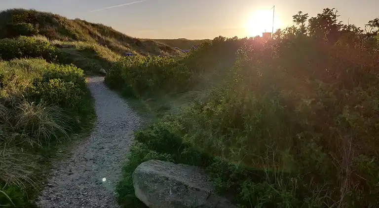 Sommerhus ved Bjerregård Strand