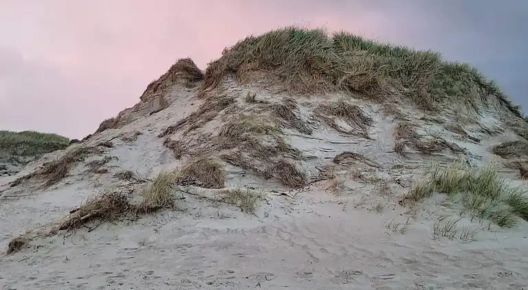 Sommerhus ved Bjerregård Strand