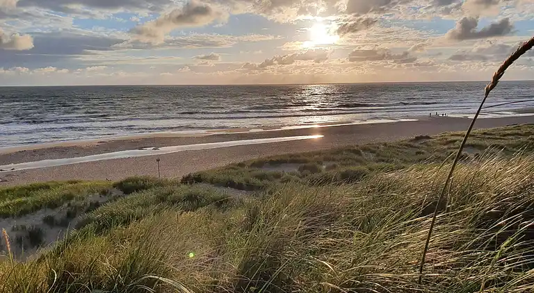 Sommerhus ved Bjerregård Strand