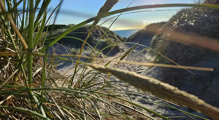 Sommerhus ved Klegod Strand