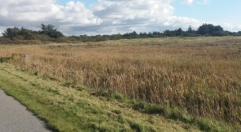 Sommerhus ved Klegod Strand