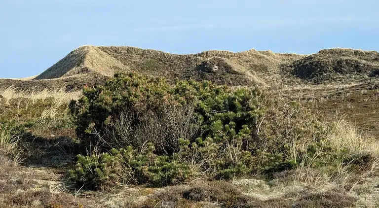 Sommerhus i Bjerregård