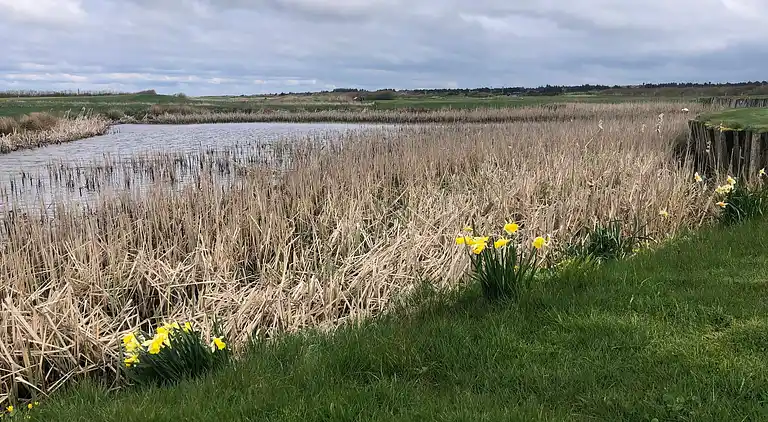 Sommerhus ved Klegod Strand