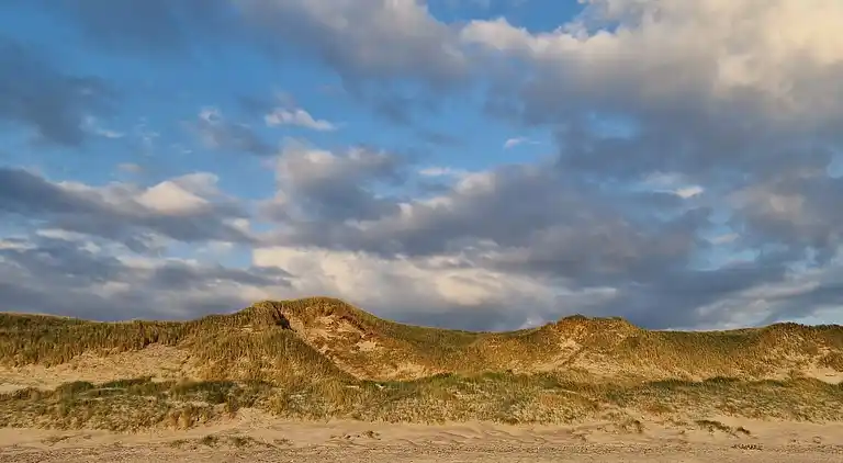 Sommerhus i Bjerregård
