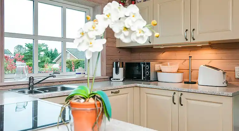 Sommerhus i Risskov Ø