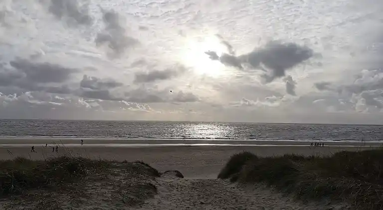 Sommerhus i Blåvand