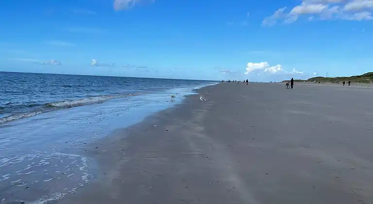 Sommerhus i Blåvand