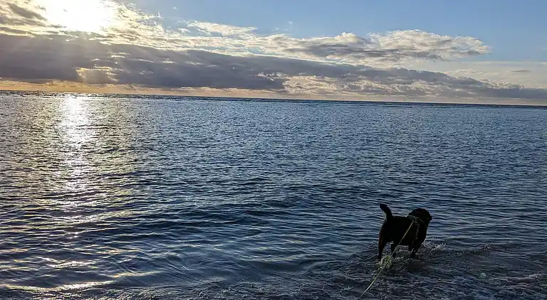 Sommerhus i Blåvand