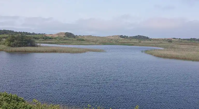 Holiday home in Vejers Strand