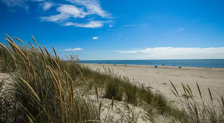 Sommerhus i Blåvand