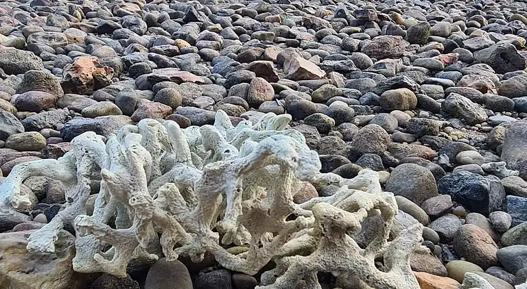 Semesterbostad i Hurup Thy