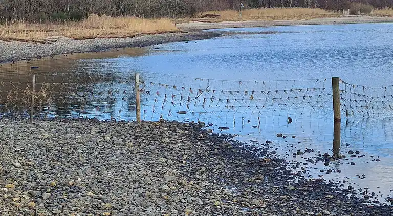 Semesterbostad i Hurup Thy