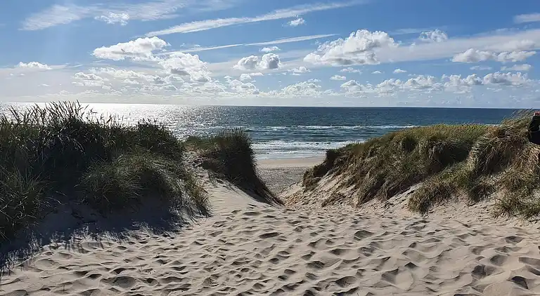 Holiday home in Ringkobing