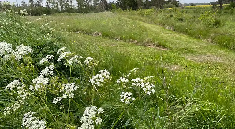 Holiday home in Rødhus