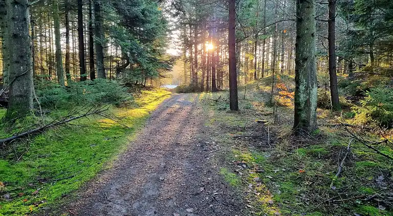 Holiday home in Rødhus