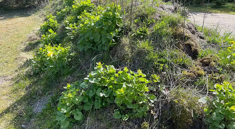 Holiday home in Rødhus