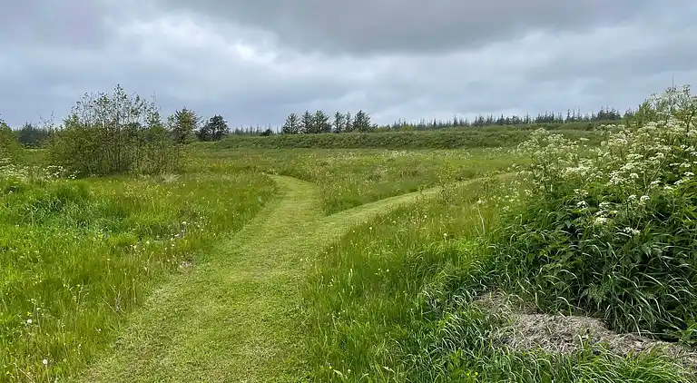 Holiday home in Rødhus