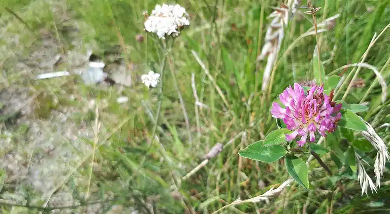 Holiday home in Esbjerg V