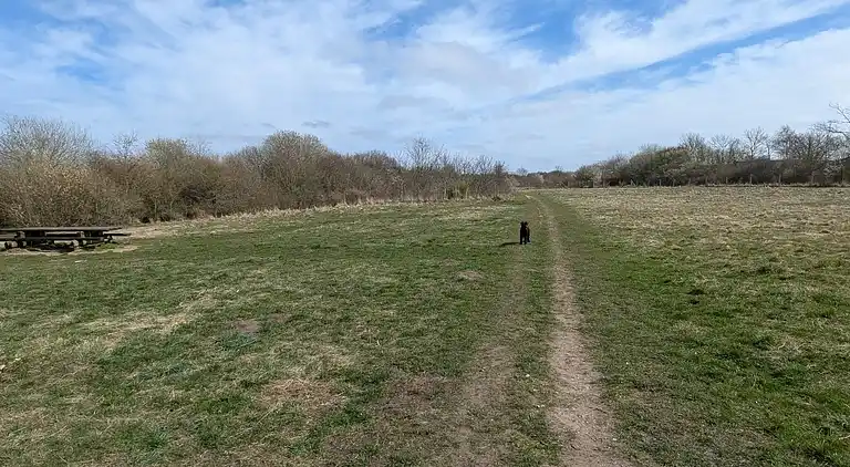 Holiday home in Esbjerg V