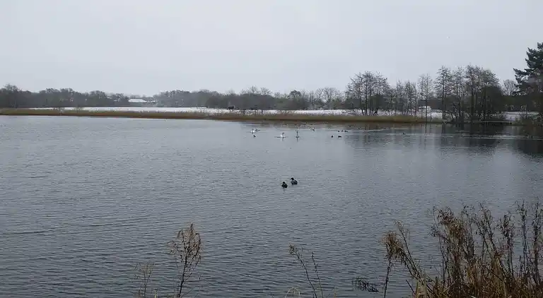Holiday home in Esbjerg V