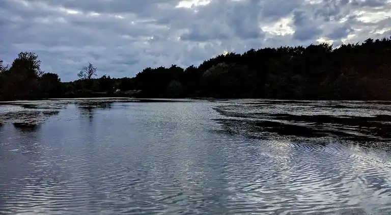 Holiday home in Esbjerg V