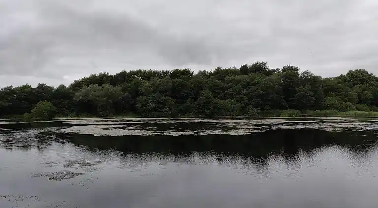 Holiday home in Esbjerg V