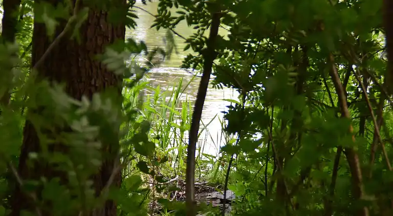 Holiday home in Esbjerg V