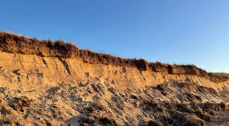 Vakantiehuis in Skallerup Klit