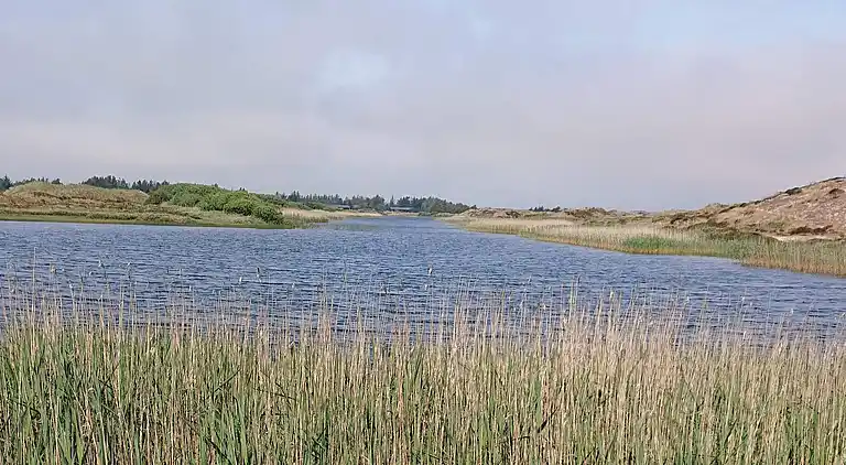Ferienhaus in Grærup