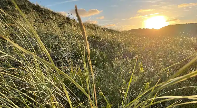 Holiday home in Hvide Sande
