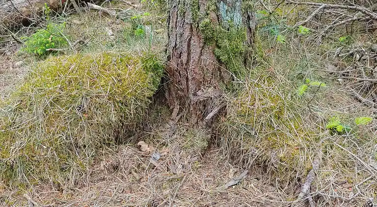 Holiday home in Jegum