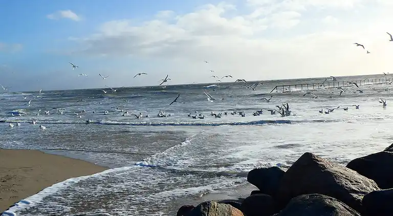 Holiday home in Blåvand