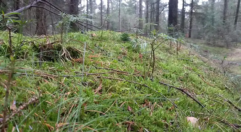 Holiday home in Jegum