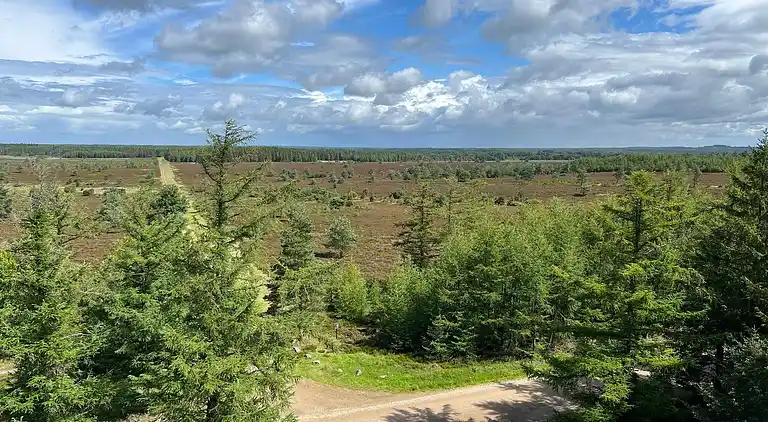 Semesterbostad i Hovborg