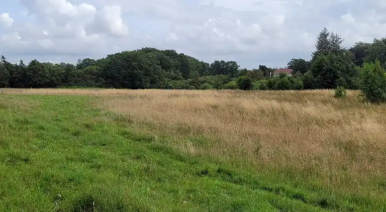 Semesterbostad i Hovborg