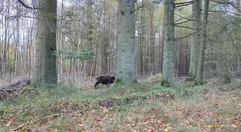 Feriebolig i Hovborg